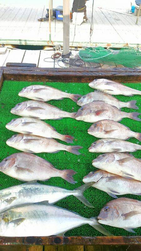 海の釣堀 海恵 釣果