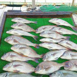 海の釣堀 海恵 釣果