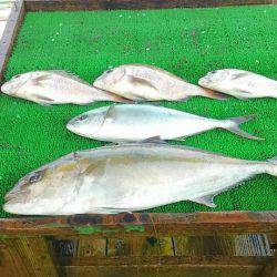 海の釣堀 海恵 釣果
