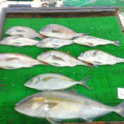 海の釣堀 海恵 釣果