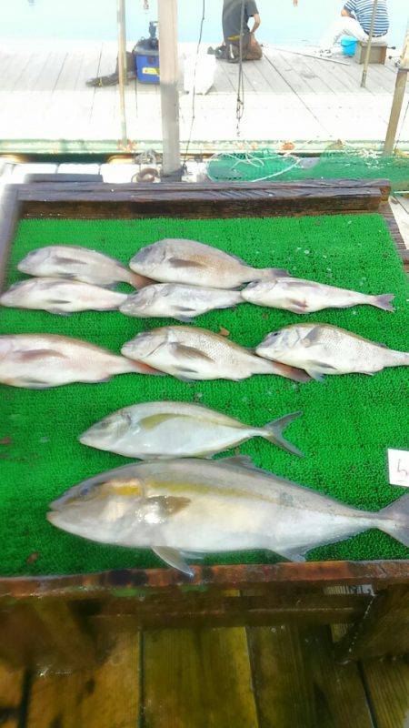 海の釣堀 海恵 釣果