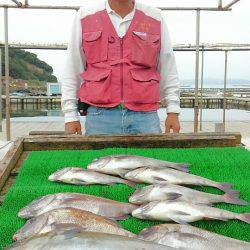 海の釣堀 海恵 釣果
