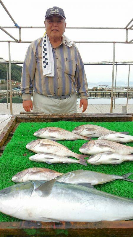 海の釣堀 海恵 釣果