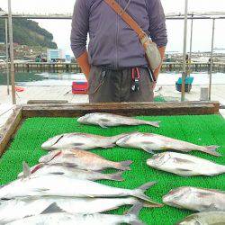 海の釣堀 海恵 釣果