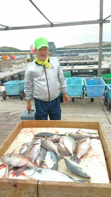 海の釣堀 海恵 釣果