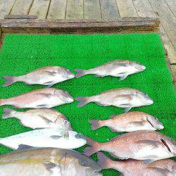 海の釣堀 海恵 釣果