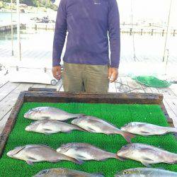 海の釣堀 海恵 釣果