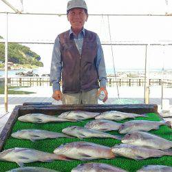 海の釣堀 海恵 釣果