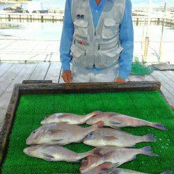 海の釣堀 海恵 釣果
