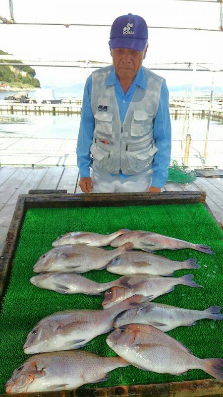 海の釣堀 海恵 釣果