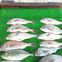 海の釣堀 海恵 釣果