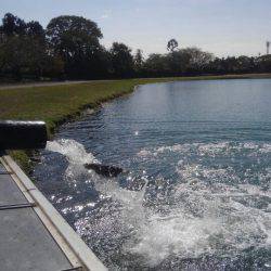 加賀フィッシングエリア 釣果