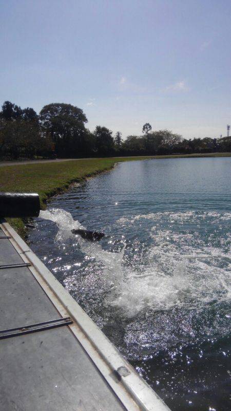 加賀フィッシングエリア 釣果