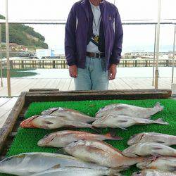 海の釣堀 海恵 釣果