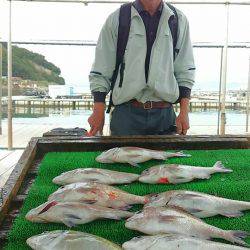 海の釣堀 海恵 釣果