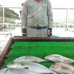 海の釣堀 海恵 釣果