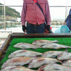 海の釣堀 海恵 釣果