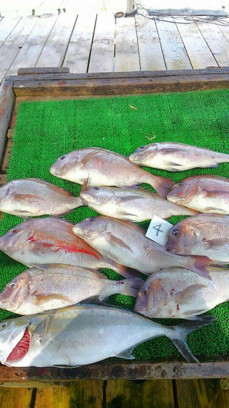 海の釣堀 海恵 釣果