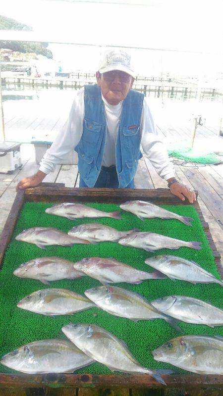 海の釣堀 海恵 釣果