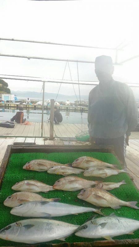海の釣堀 海恵 釣果