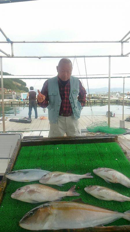 海の釣堀 海恵 釣果