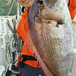 タイラバ遊漁船 ワンピース 釣果