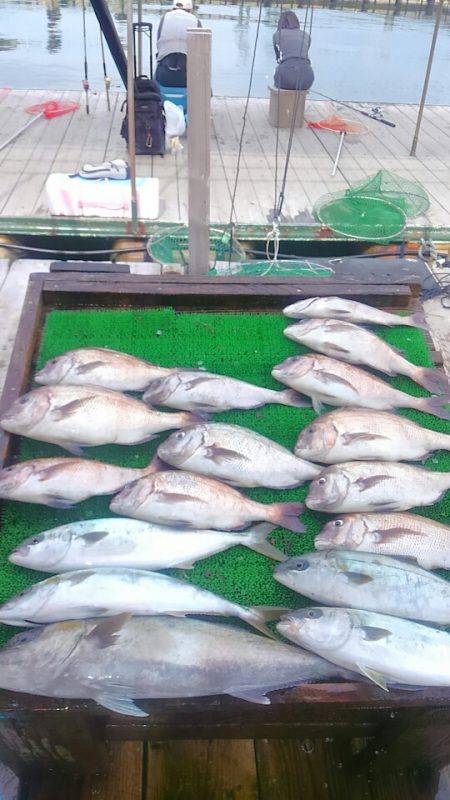 海の釣堀 海恵 釣果