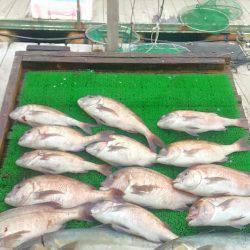 海の釣堀 海恵 釣果