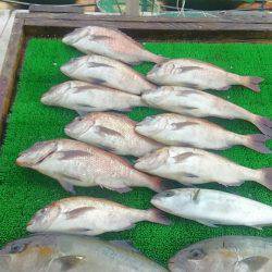 海の釣堀 海恵 釣果