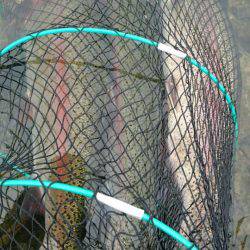 加賀フィッシングエリア 釣果