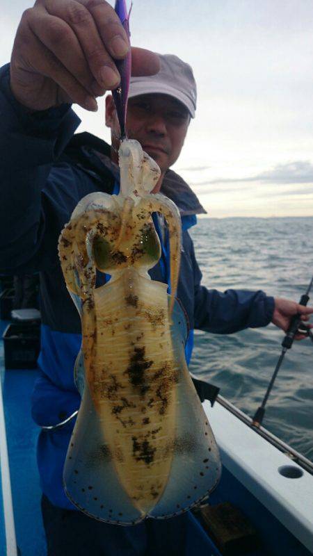 第三共栄丸 釣果