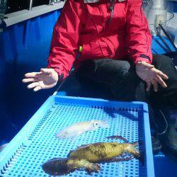 第三共栄丸 釣果