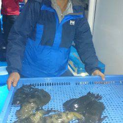 第三共栄丸 釣果