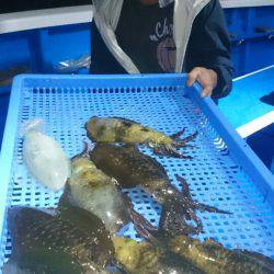 第三共栄丸 釣果