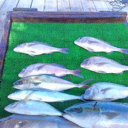 海の釣堀 海恵 釣果