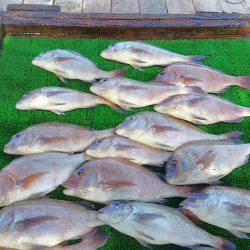 海の釣堀 海恵 釣果