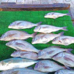 海の釣堀 海恵 釣果