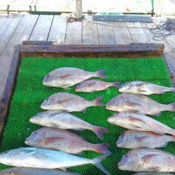 海の釣堀 海恵 釣果