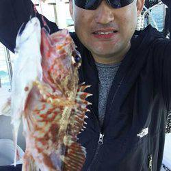 タイラバ遊漁船 ワンピース 釣果