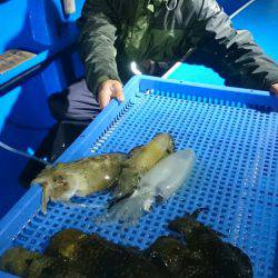 第三共栄丸 釣果