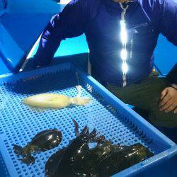 第三共栄丸 釣果