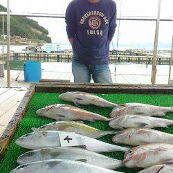 海の釣堀 海恵 釣果