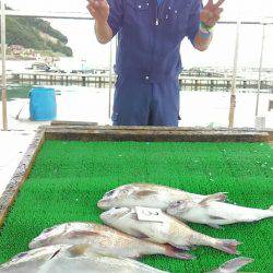 海の釣堀 海恵 釣果