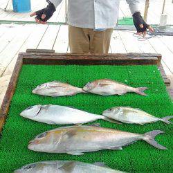 海の釣堀 海恵 釣果