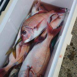 第三共栄丸 釣果