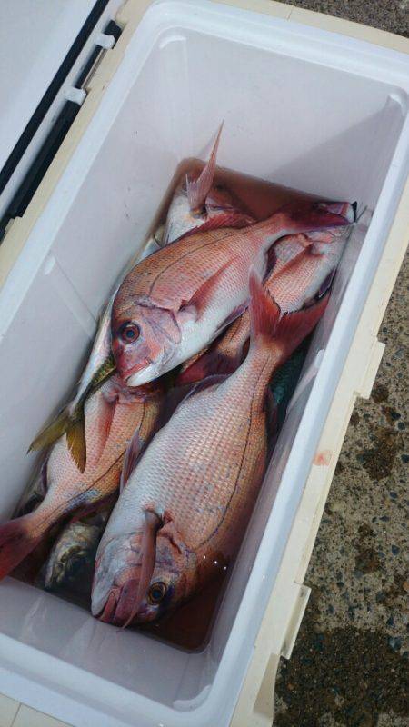 第三共栄丸 釣果