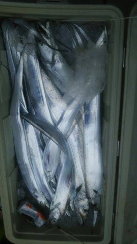 サンマリン 釣果