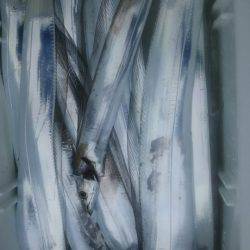 サンマリン 釣果