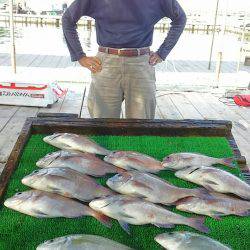 海の釣堀 海恵 釣果