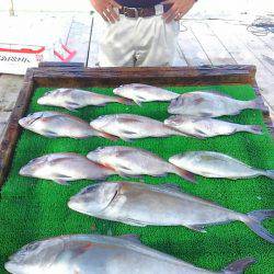 海の釣堀 海恵 釣果